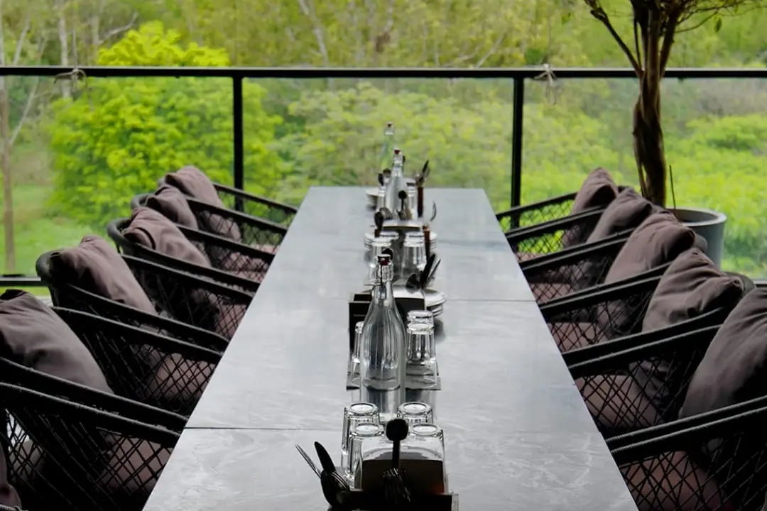 Peacock sighting from the terrace at High Brew forest-themed restaurant